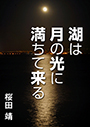 湖は月の光に満ちて来る 表紙イメージ