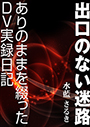 出口のない迷路～ありのままを綴ったDV実録日記～ 表紙イメージ