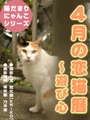 恋猫暦〜4月編 遊び心 表紙イメージ