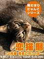 恋猫暦〜12月編 何処に行こうか… 表紙イメージ